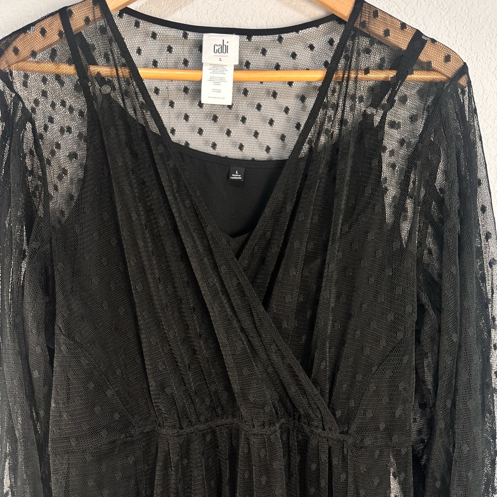 CAbi Black Sheer Theatre Dress - Picture 2 of 6